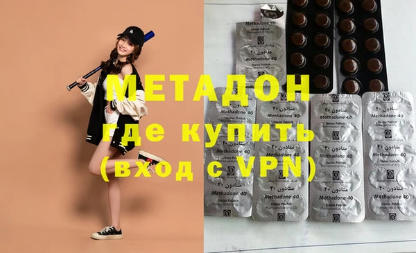 прущие грибы Вязьма