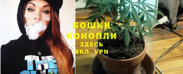 не бодяженный Верхний Тагил