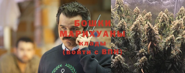 дживик Верея