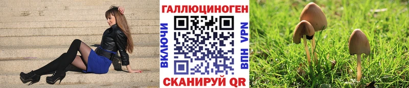 блэк спрут зеркало Кызыл Псилоцибиновые грибы Magic Shrooms хочу наркоту